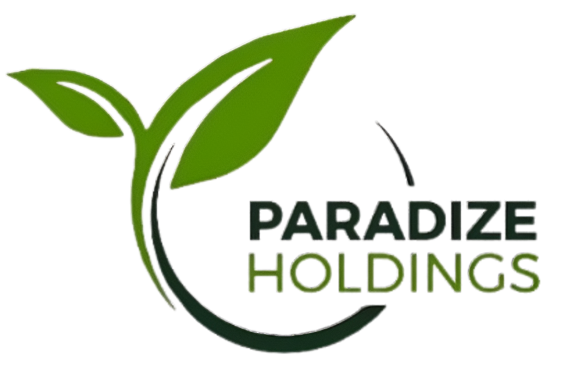 Paradize Logo